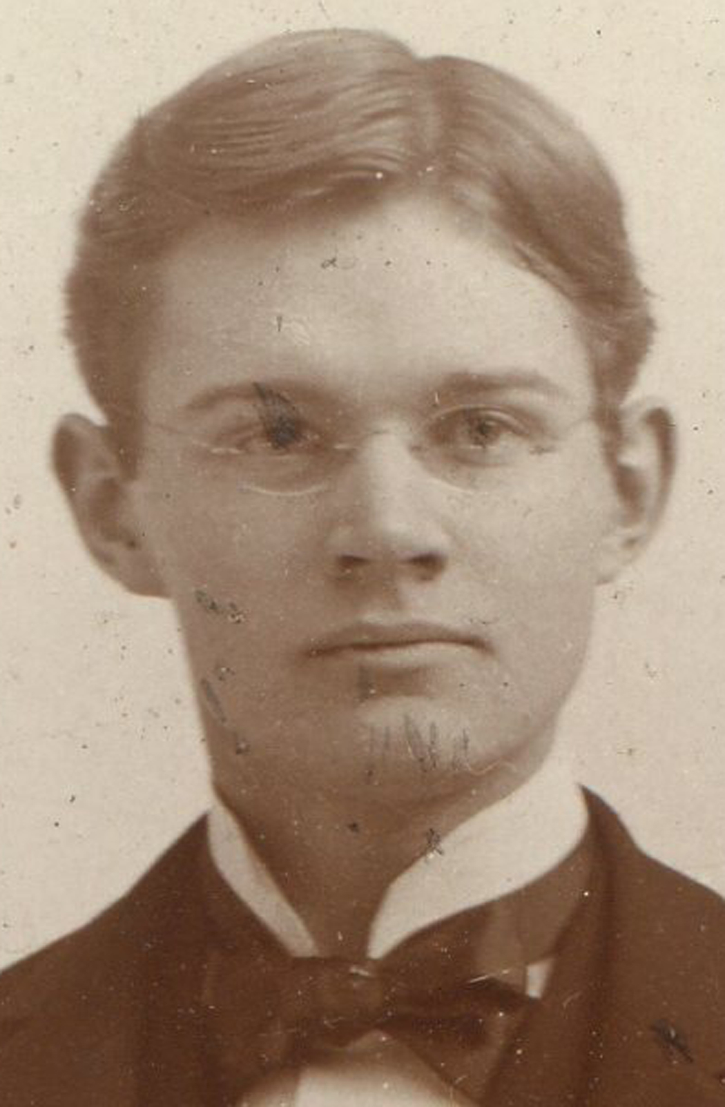 ant0196.jpg