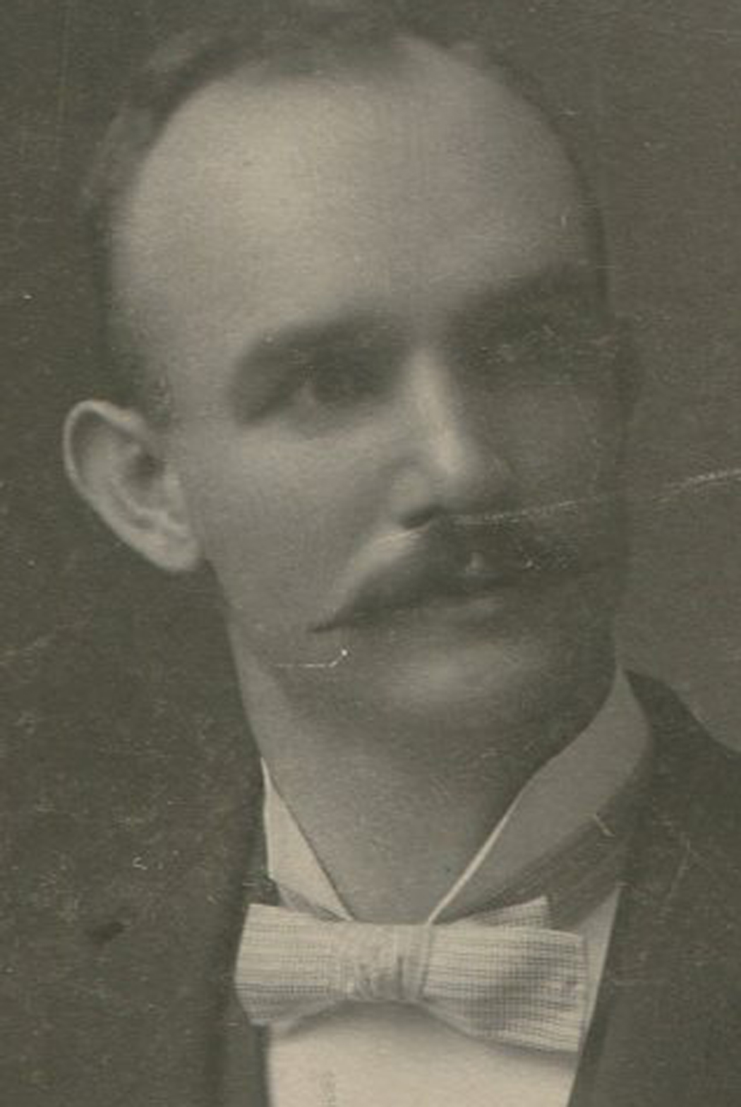 ant0304.jpg