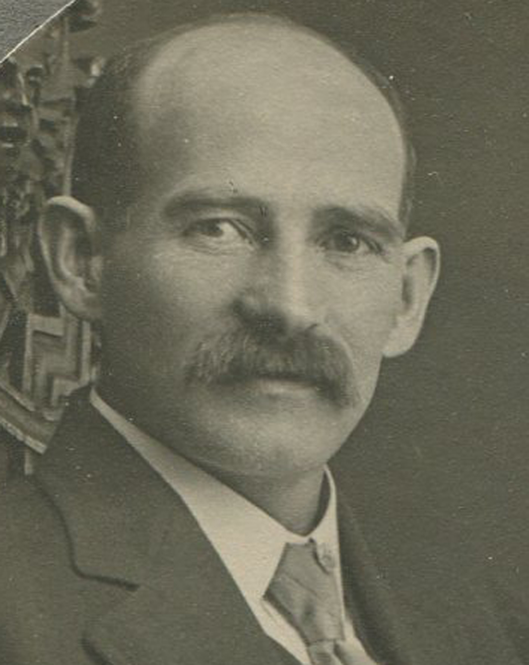 ant0342.jpg