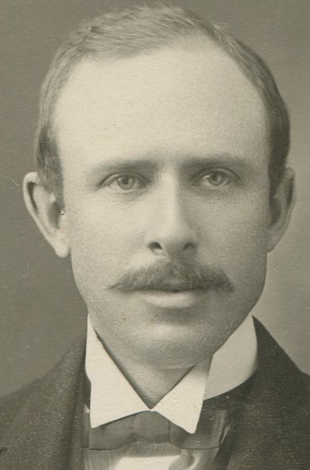ant0557.jpg