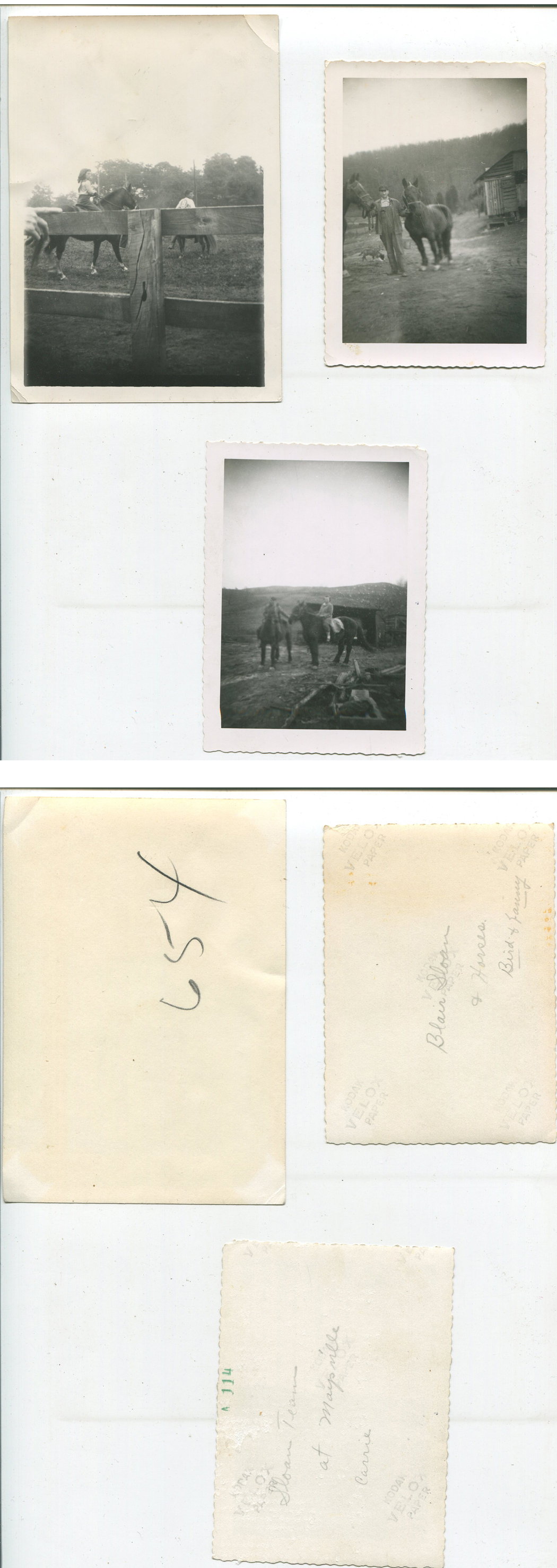 ant0656a.jpg