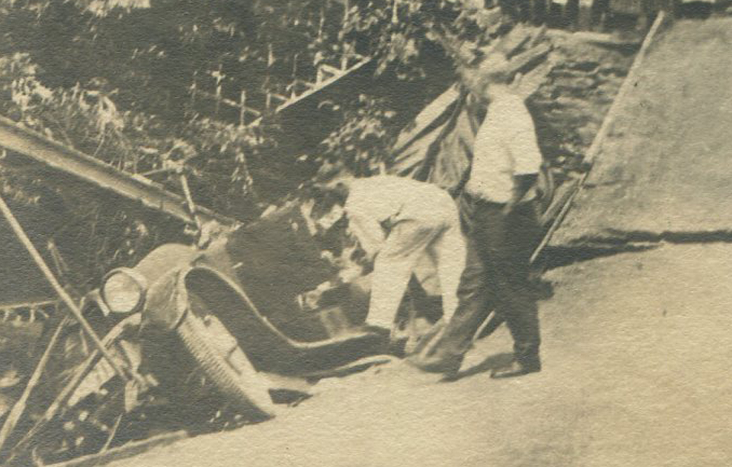 ant0676.jpg