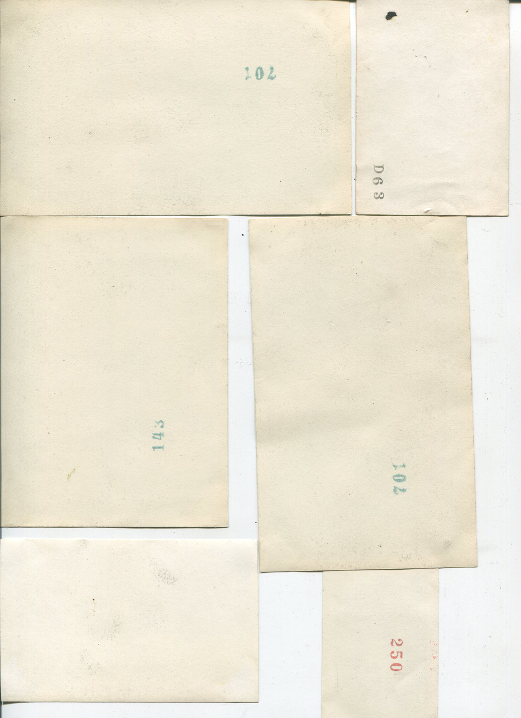 ant0784a.jpg