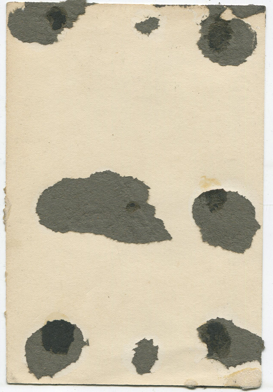 ant0873a.jpg