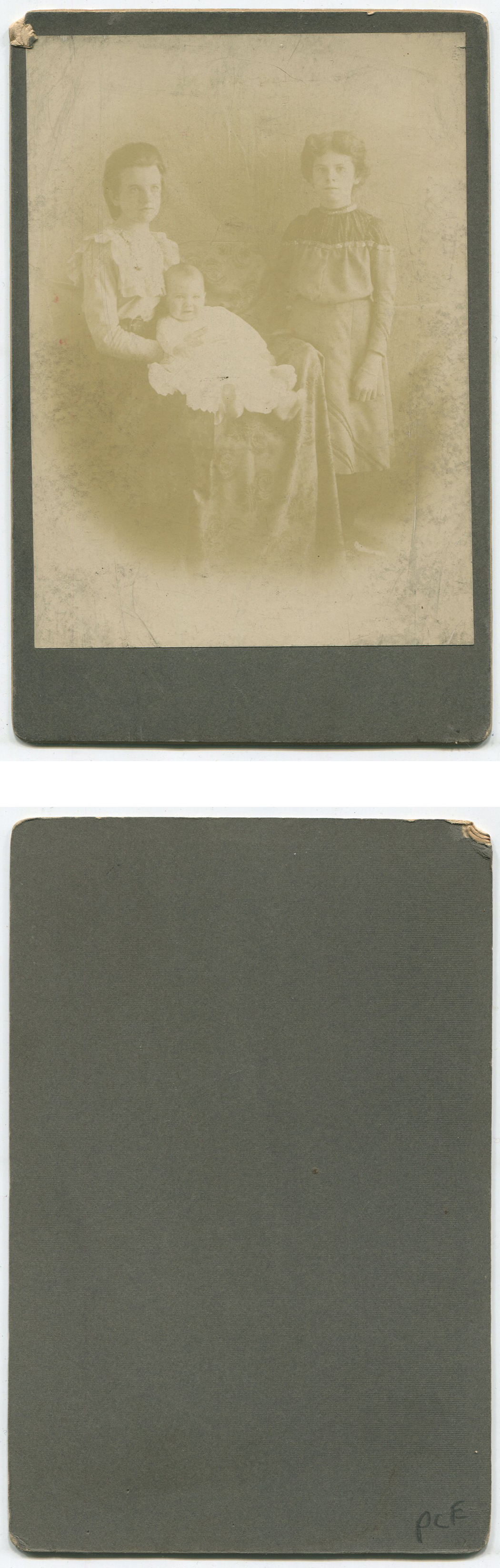 ant1108a.jpg