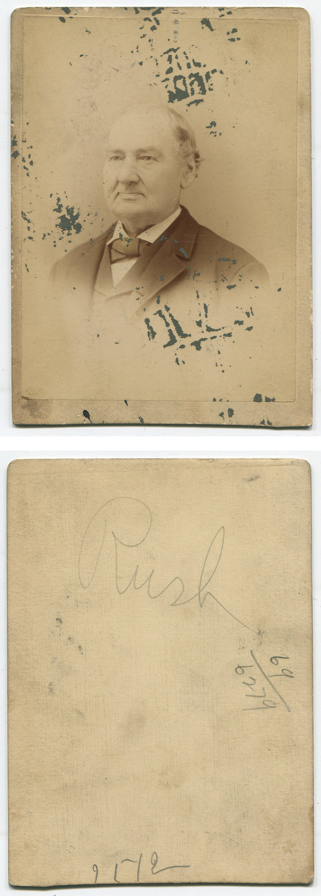 ant1113a.jpg