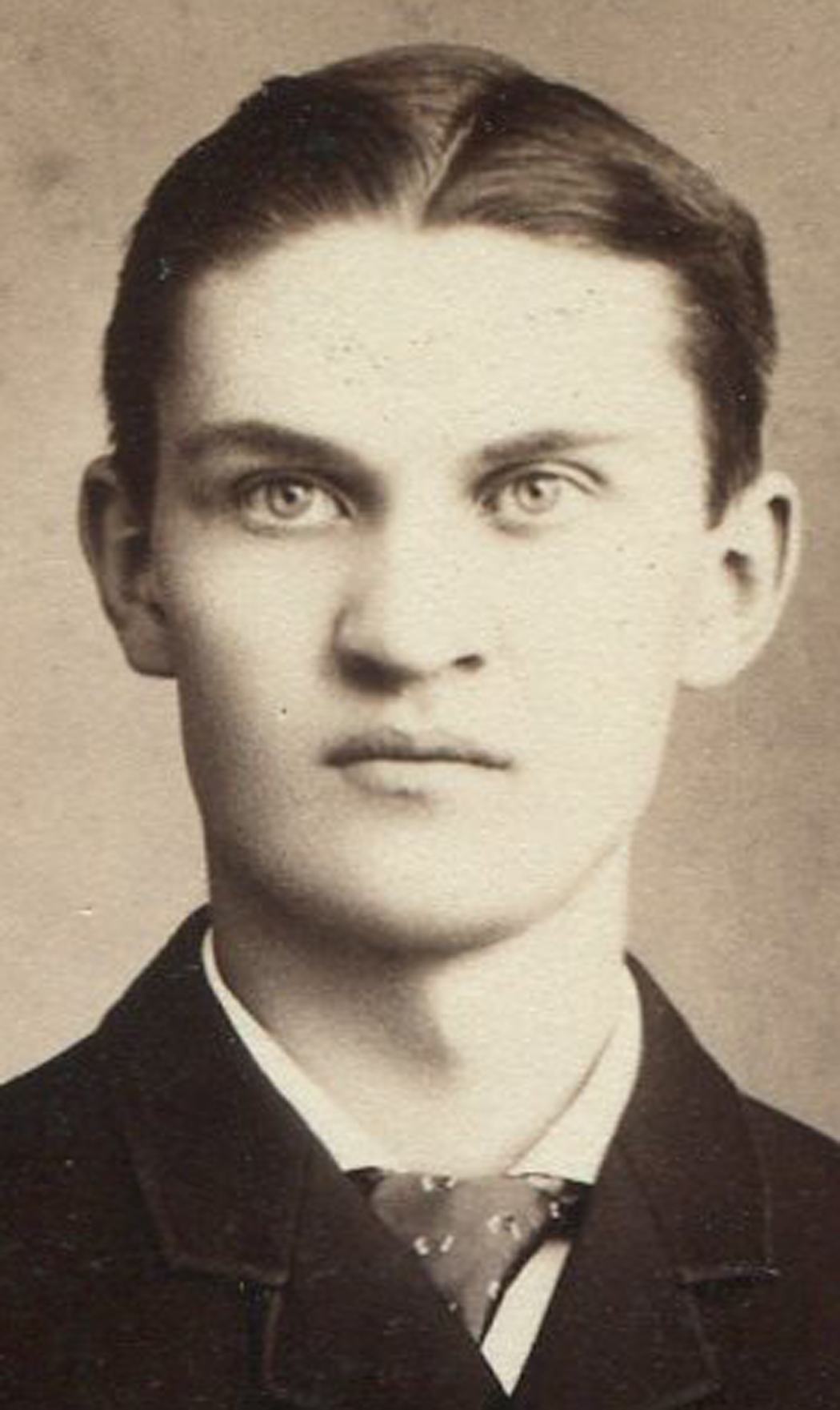 ant1124.jpg
