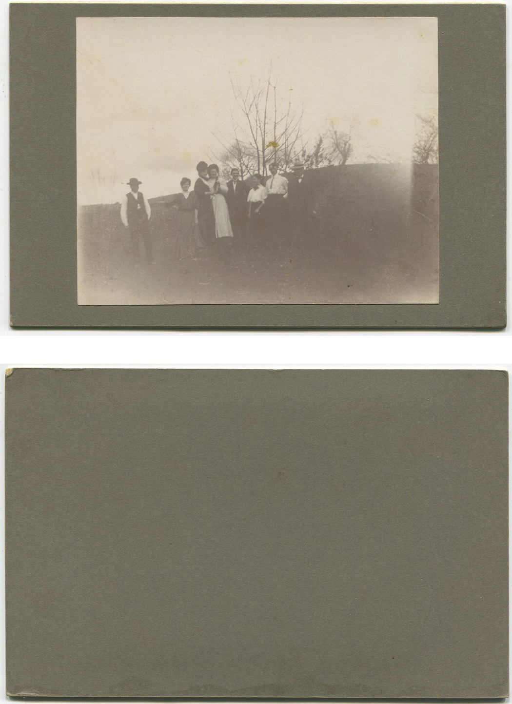 ant1154a.jpg