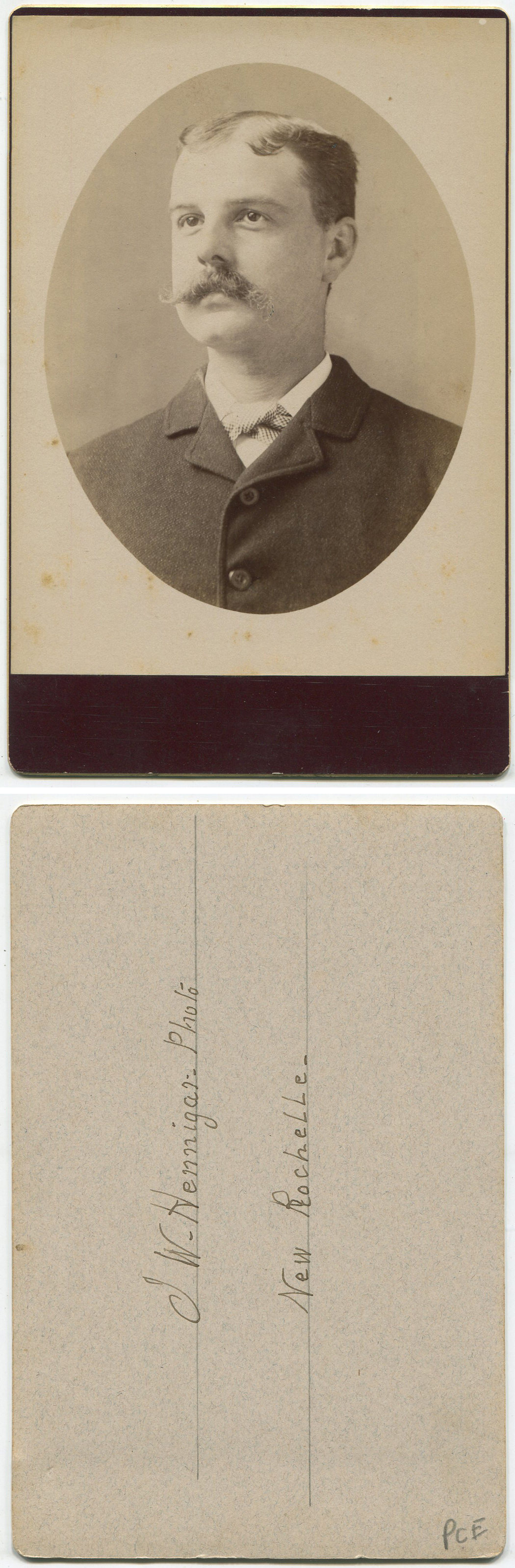 ant1157a.jpg