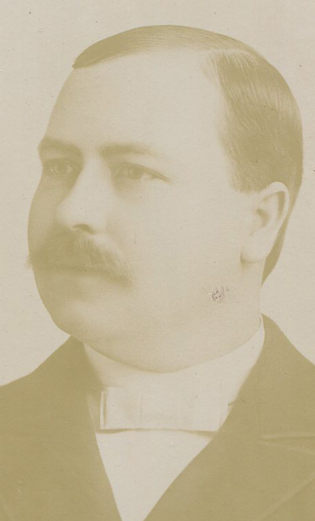 ant1158.jpg