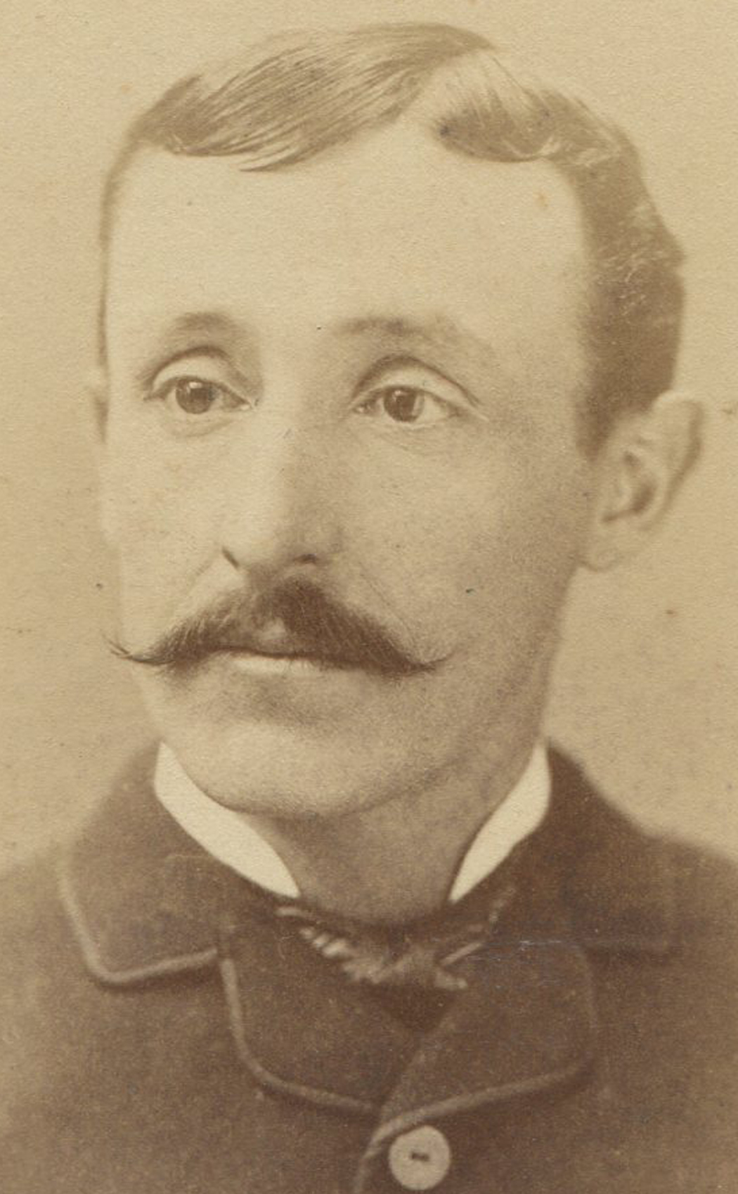 ant1160.jpg