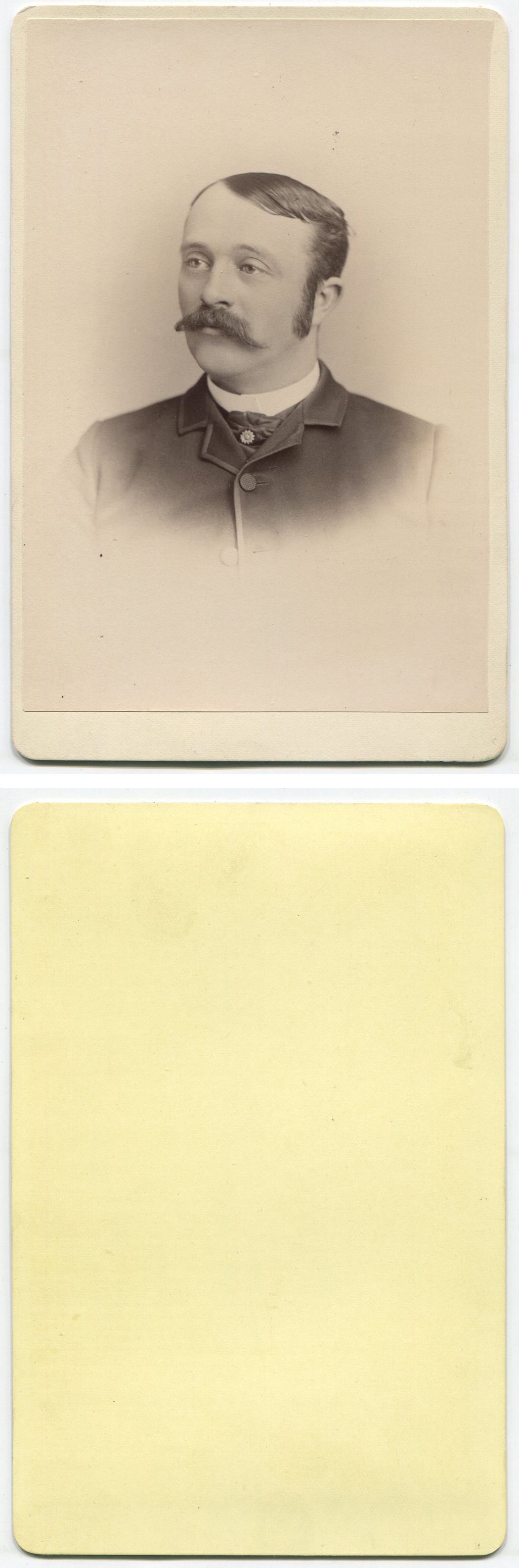 ant1197a.jpg