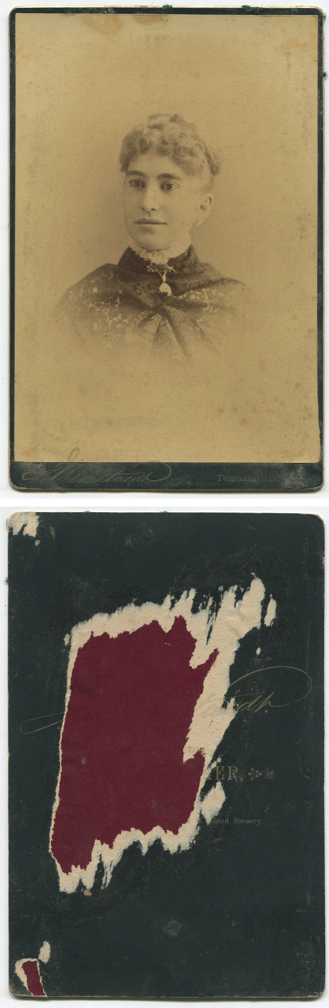 ant1231a.jpg