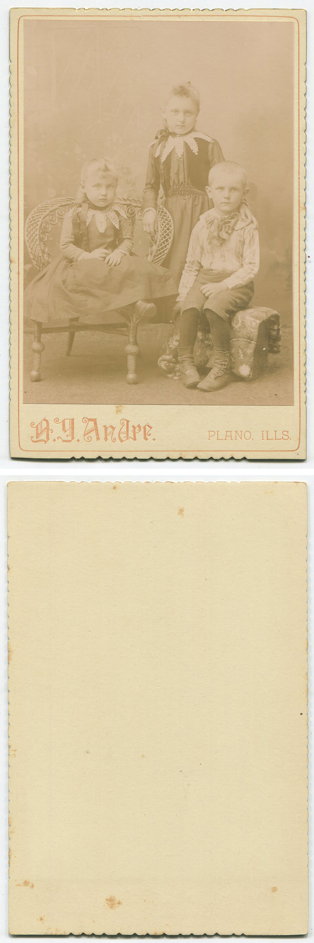 ant1311a.jpg