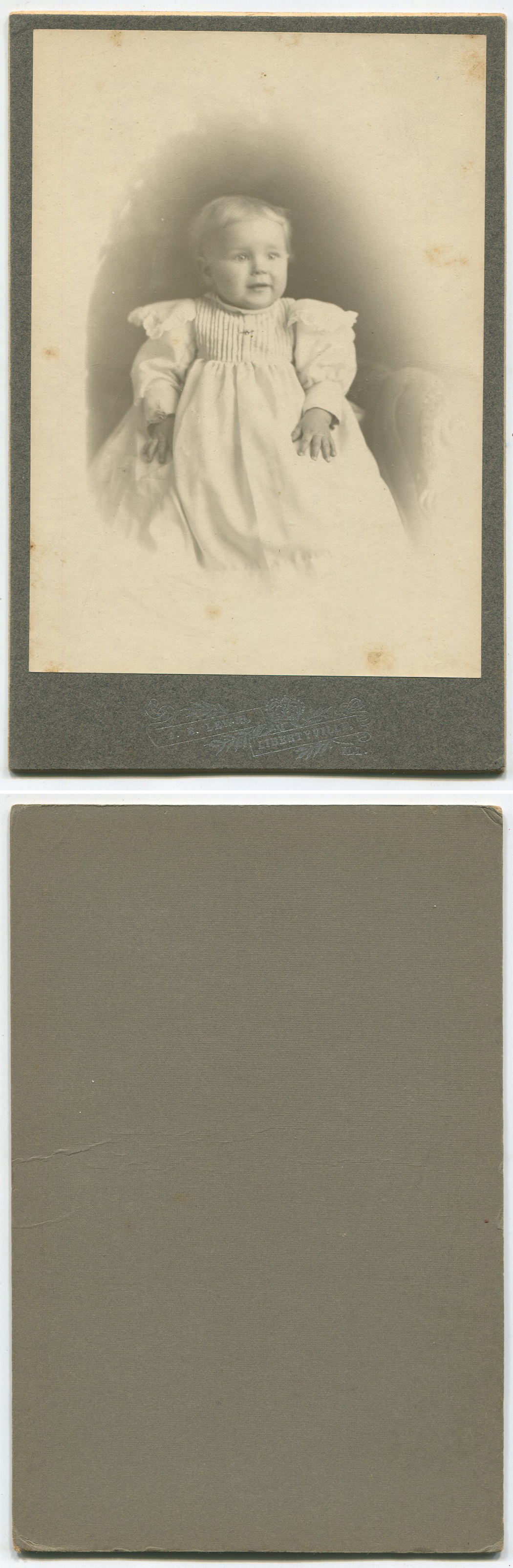 ant1313a.jpg