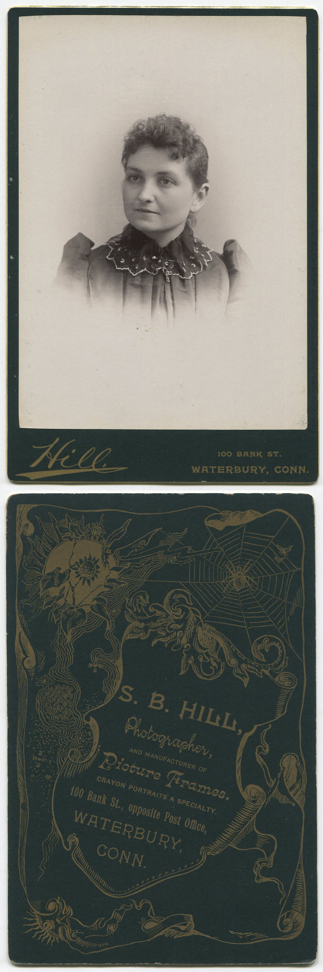 ant1333a.jpg