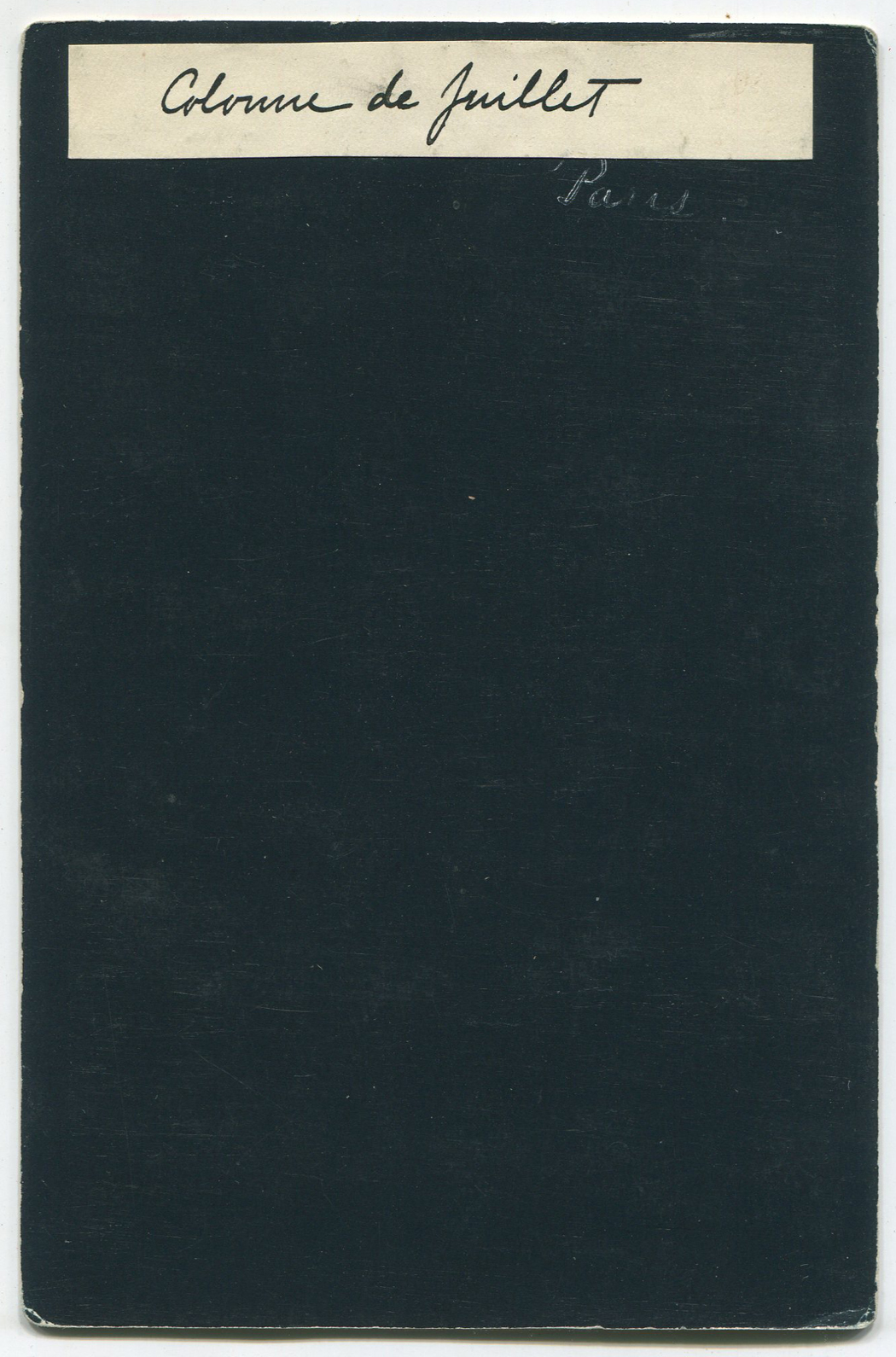 ant1454a.jpg