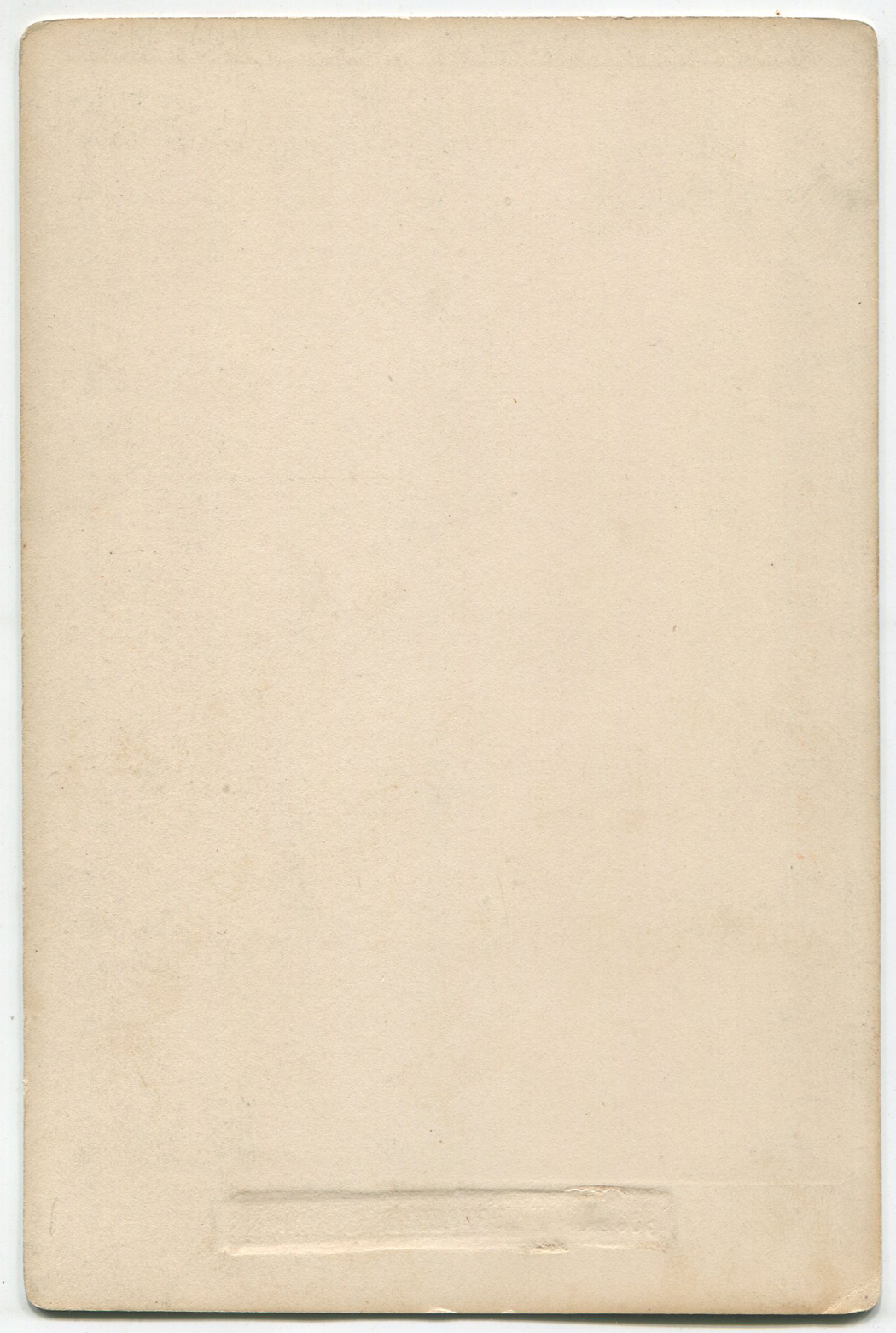 ant1466a.jpg