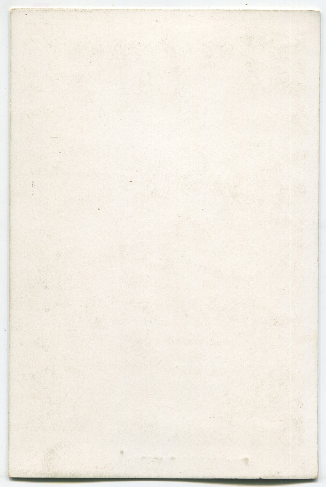 ant1467a.jpg