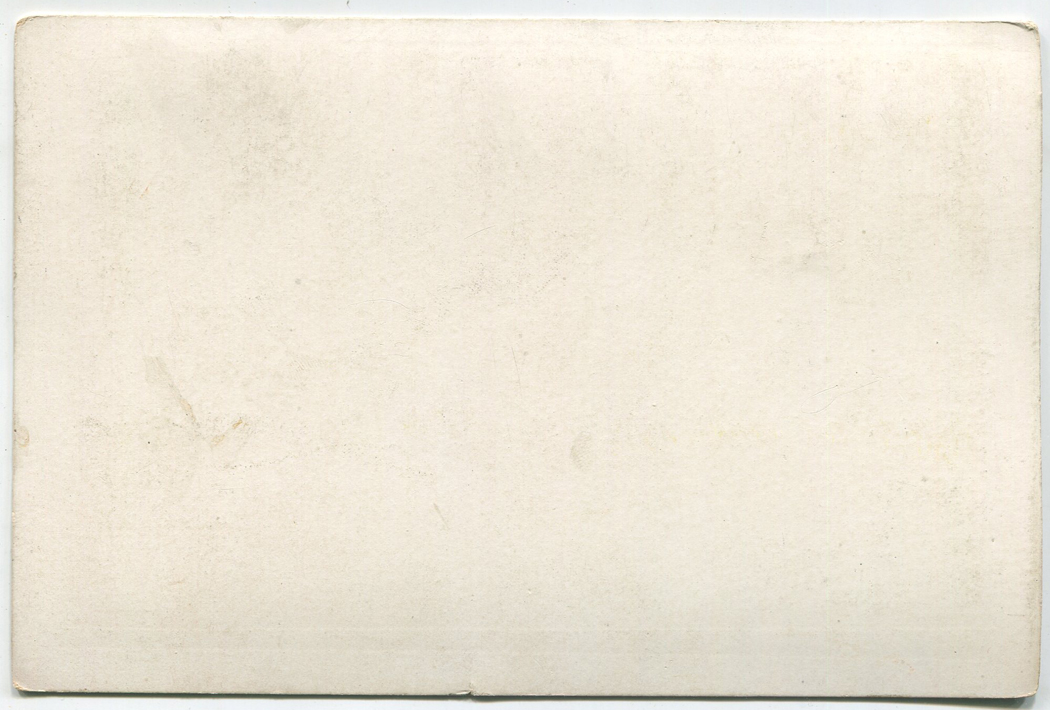 ant1468a.jpg