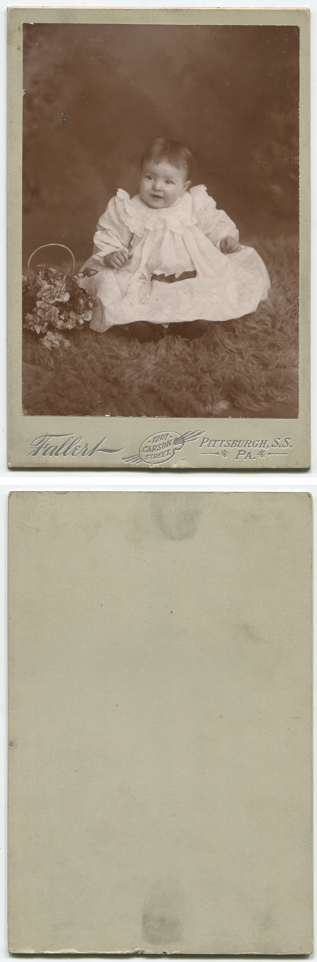 ant1487a.jpg