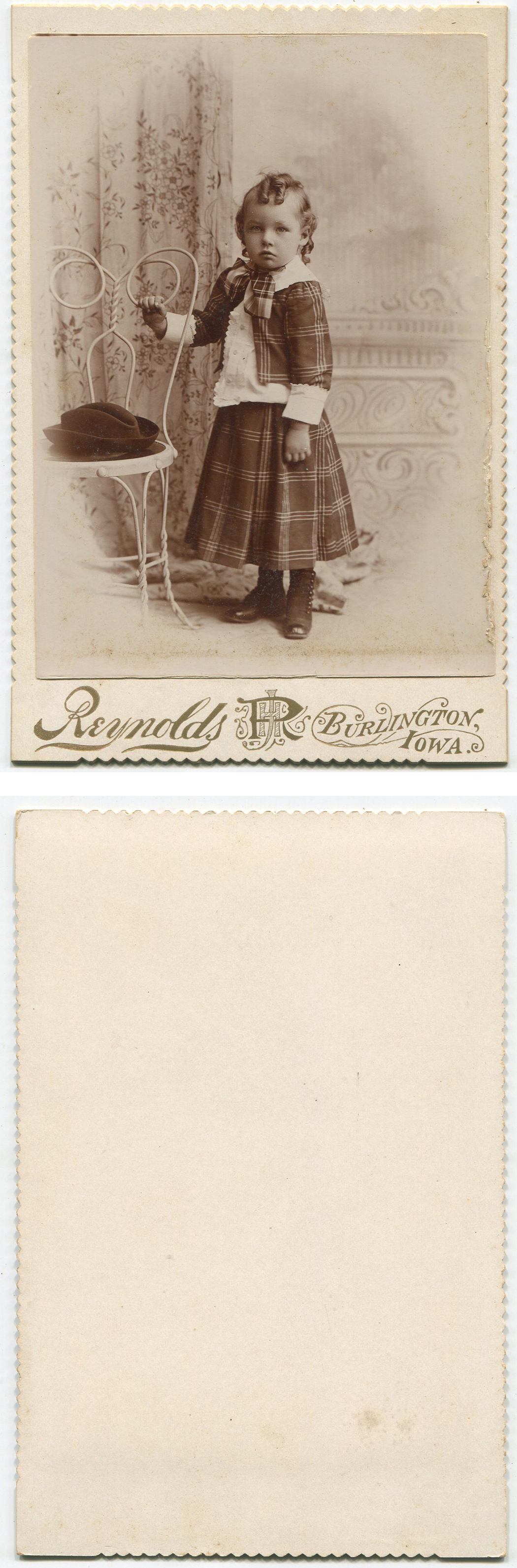 ant1515a.jpg