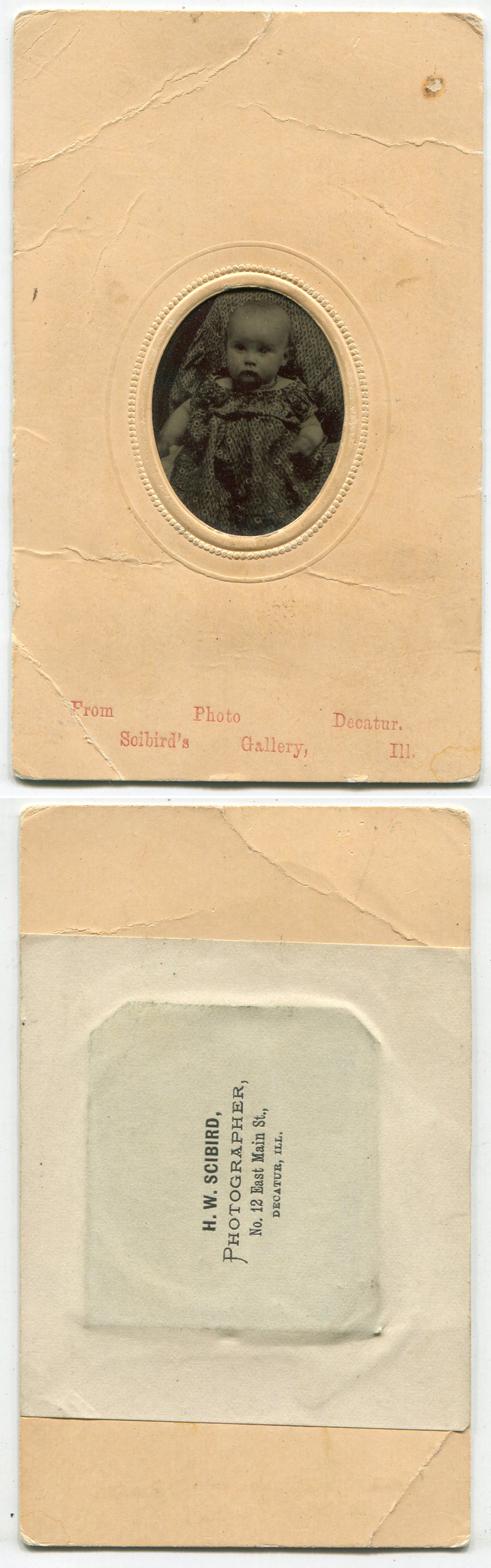 ant1606a.jpg