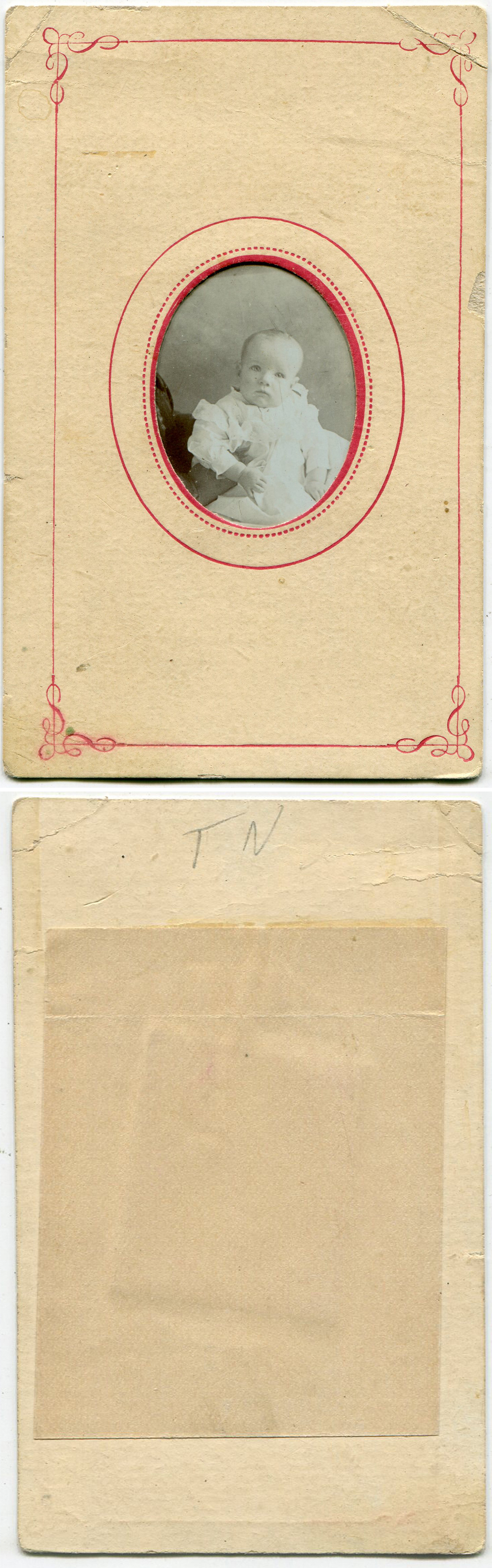 ant1613a.jpg