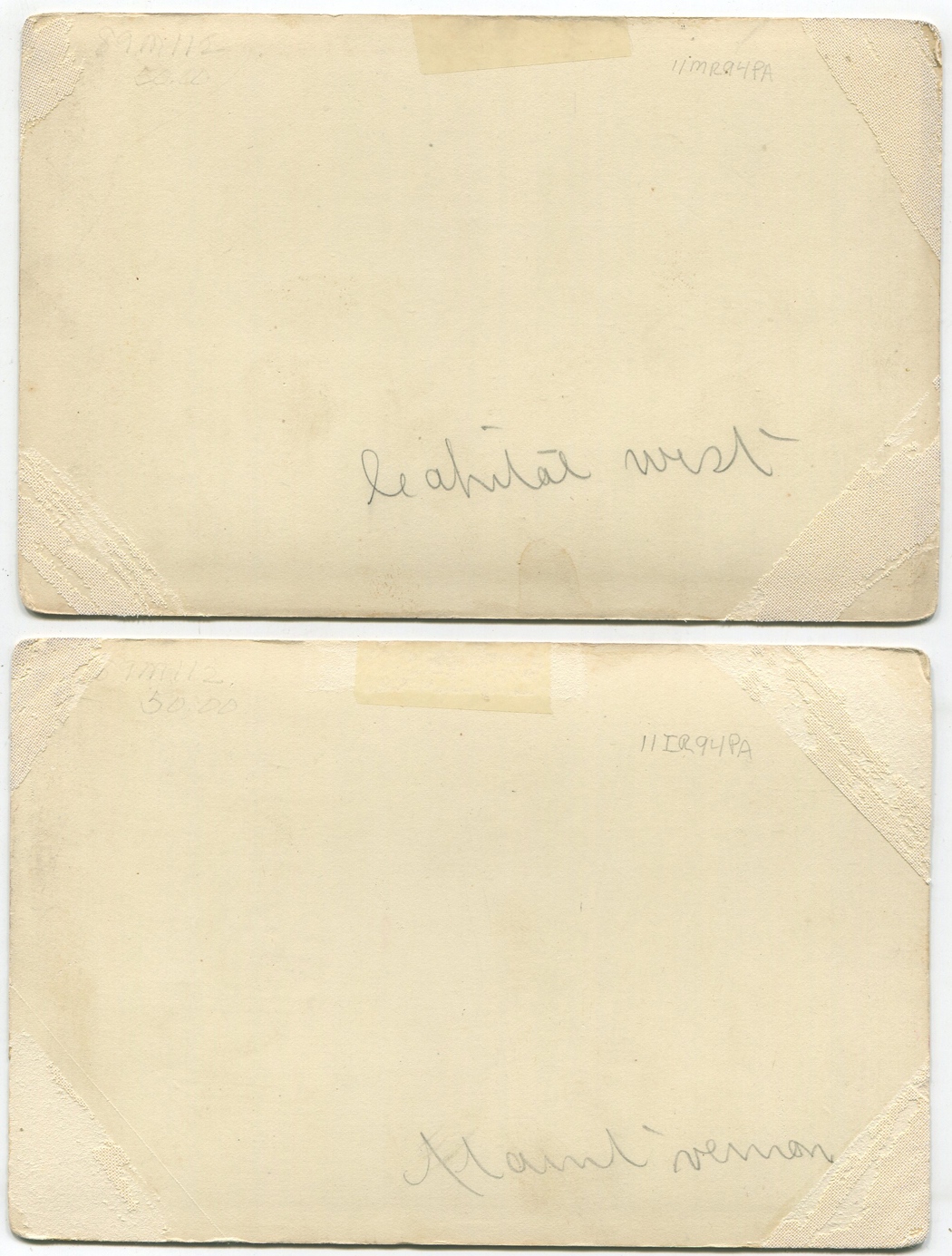 ant1824a.jpg