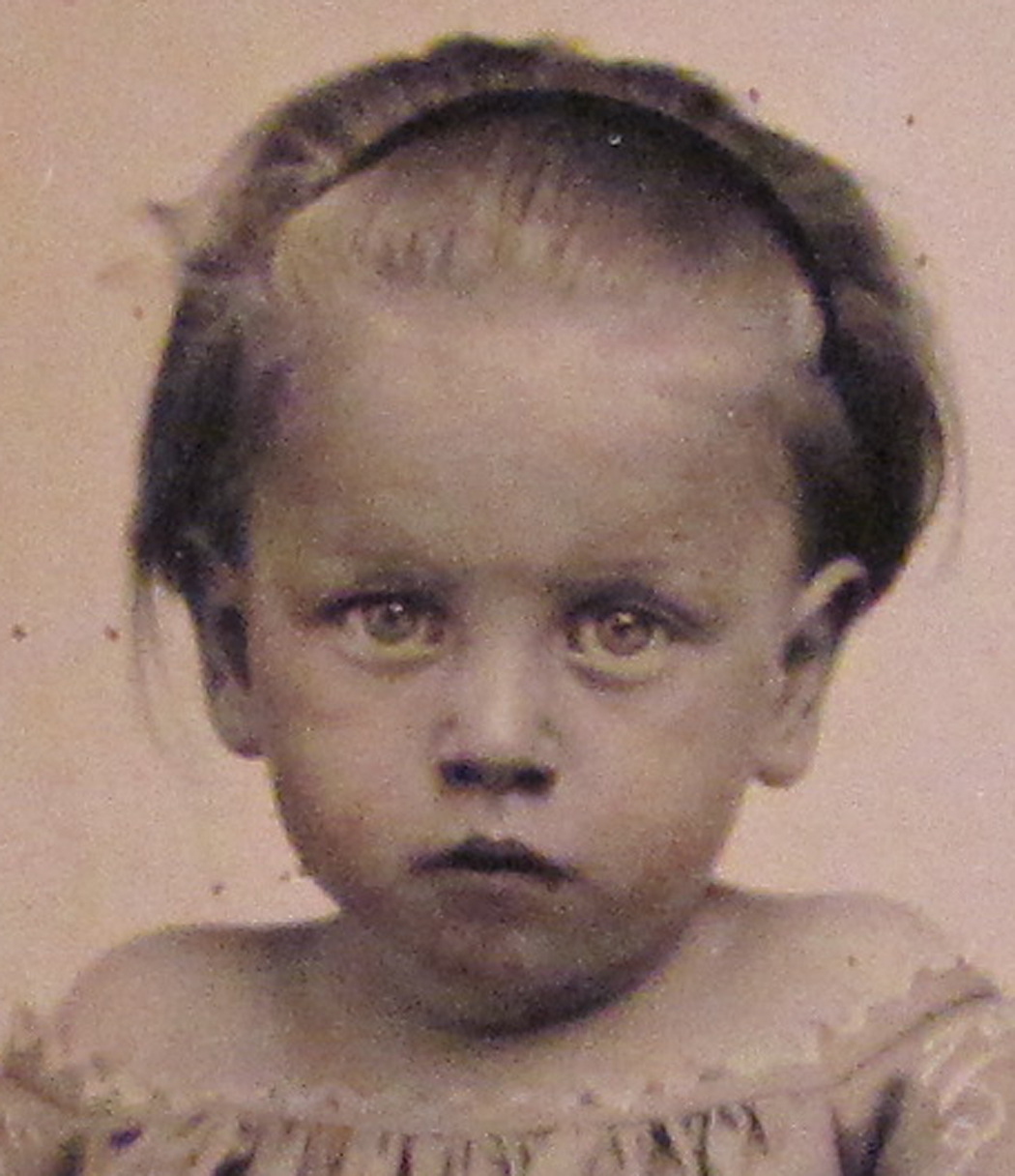 ant2085.jpg