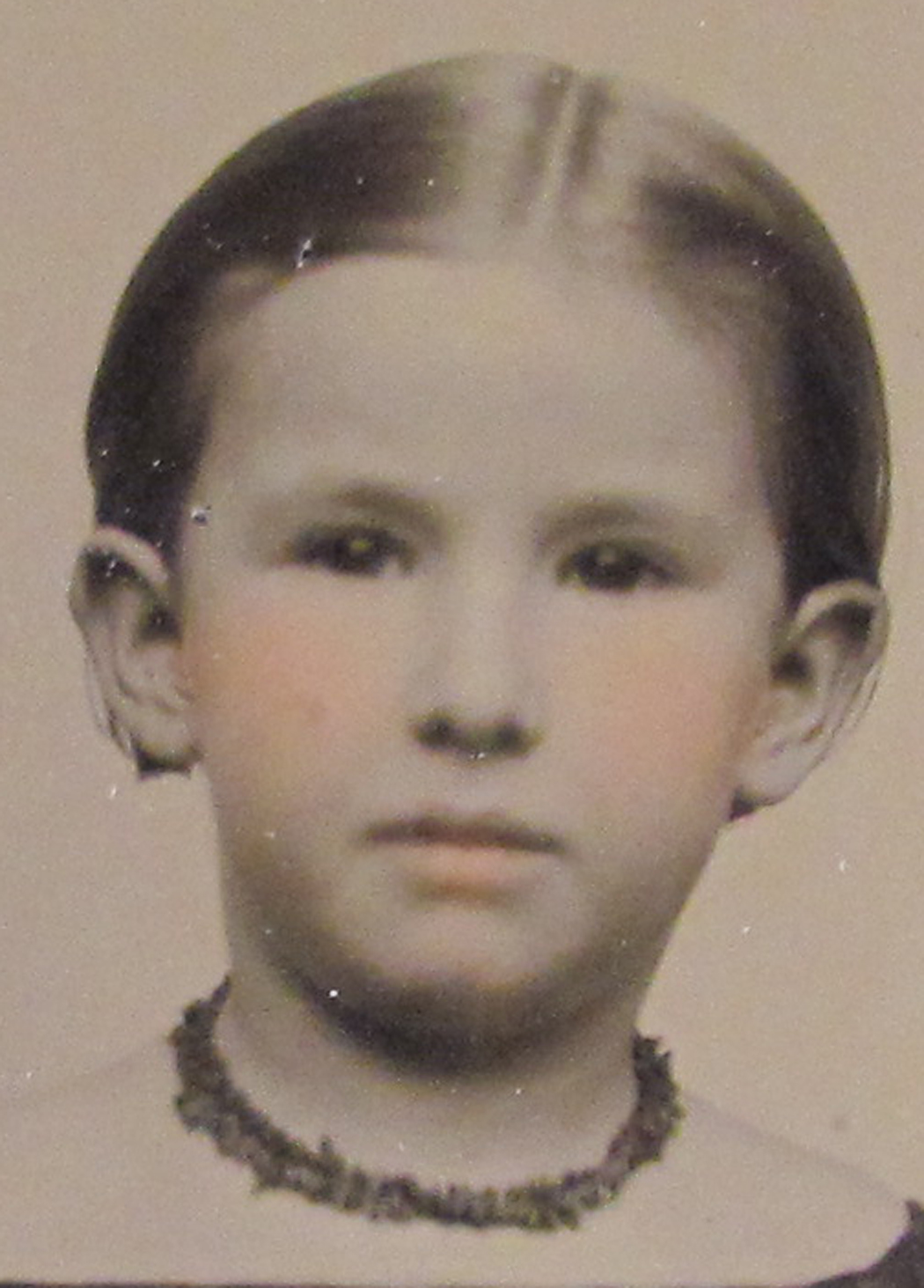 ant2091.jpg
