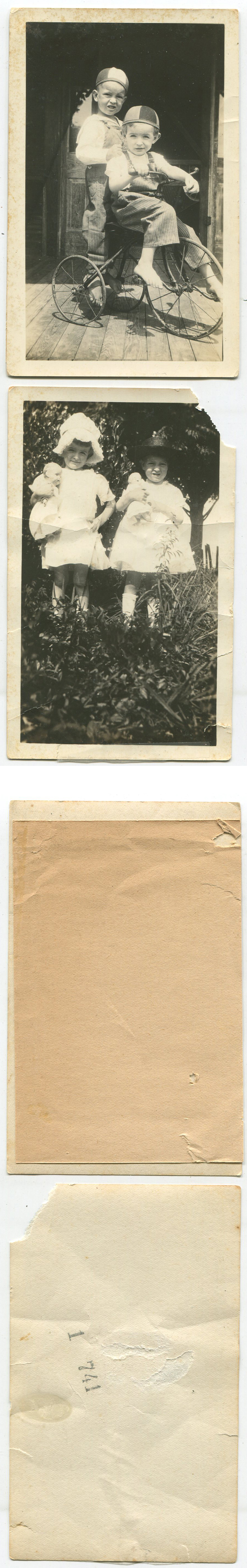 ant2133a.jpg