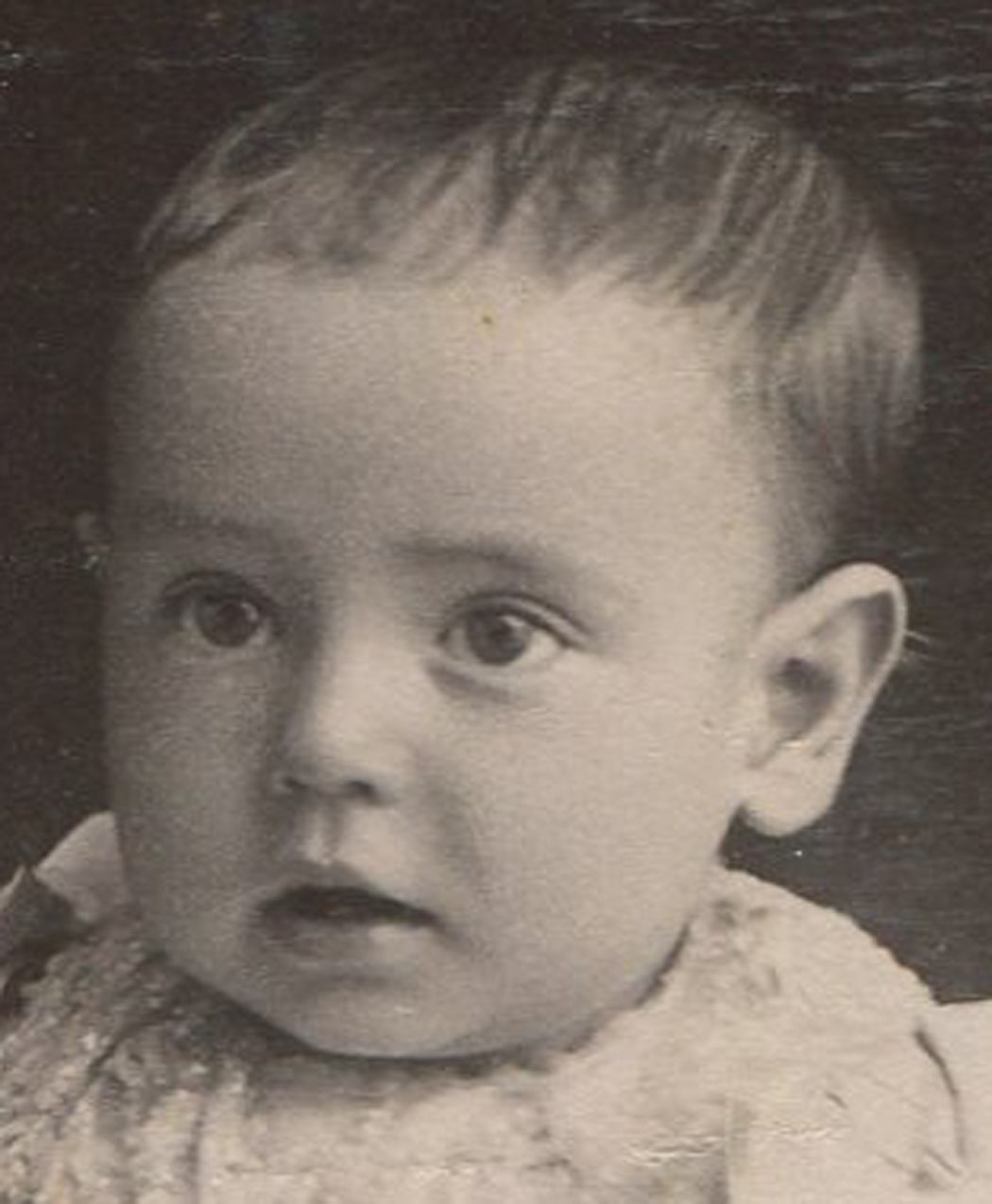 ant2477.jpg
