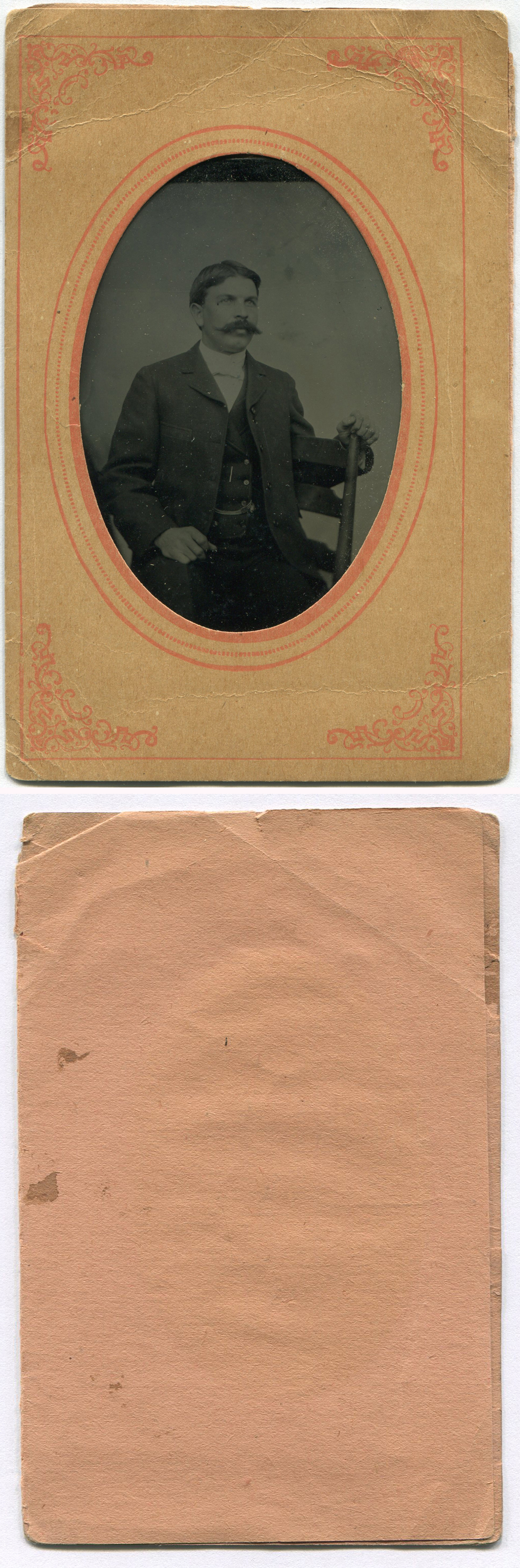 ant2941a.jpg
