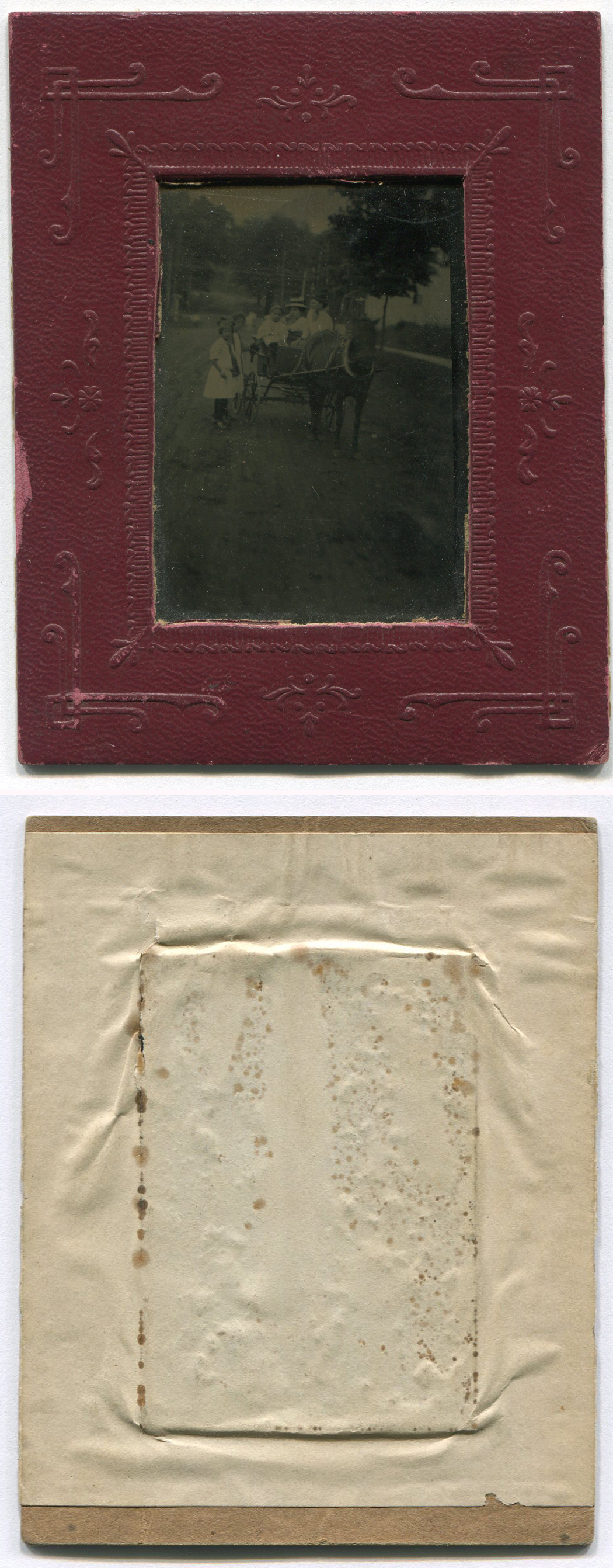 ant2953a.jpg