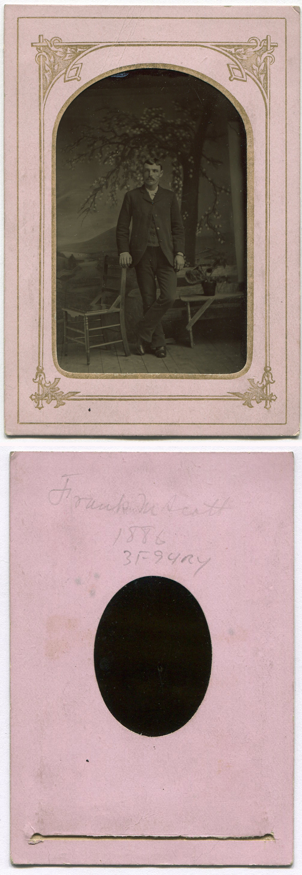ant2955a.jpg