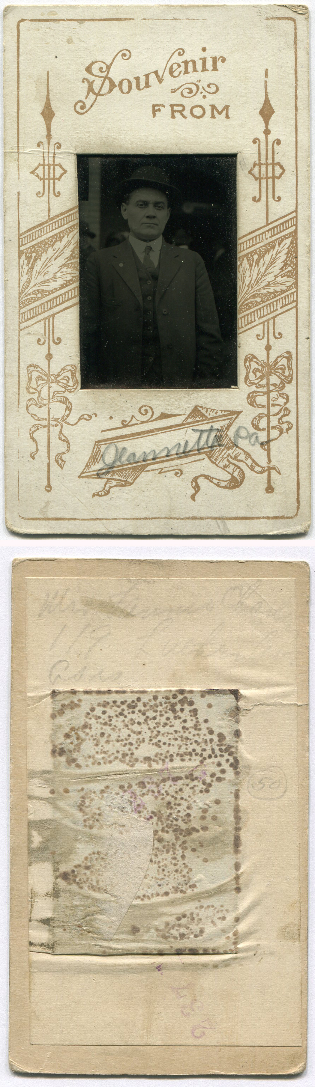 ant2957a.jpg