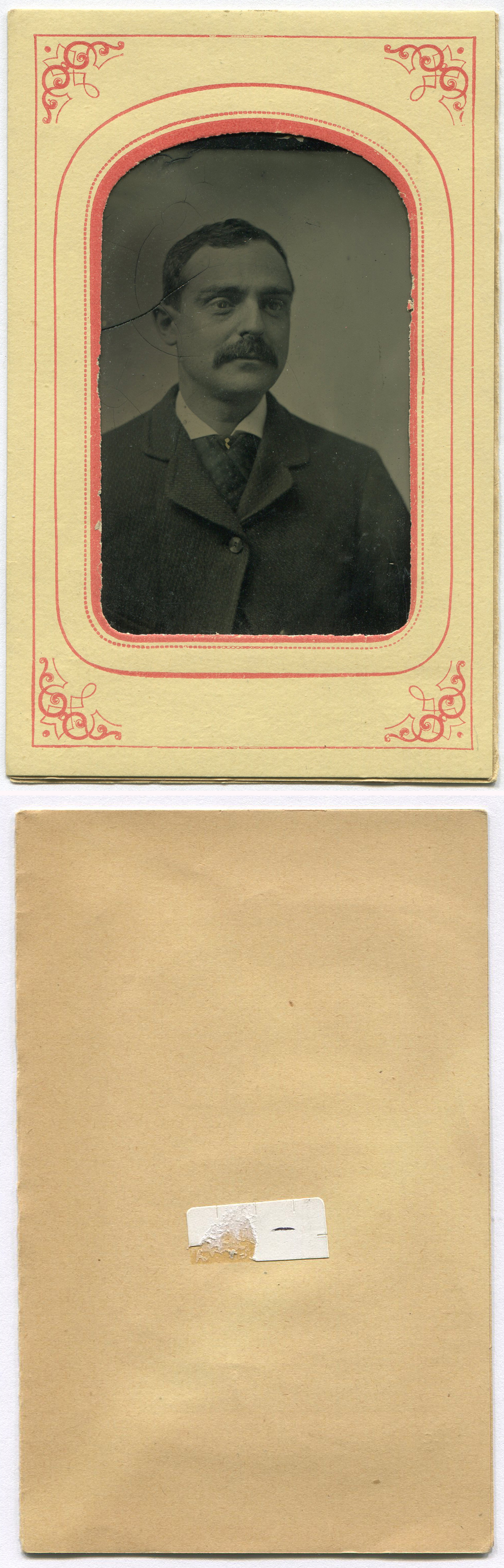 ant2965a.jpg