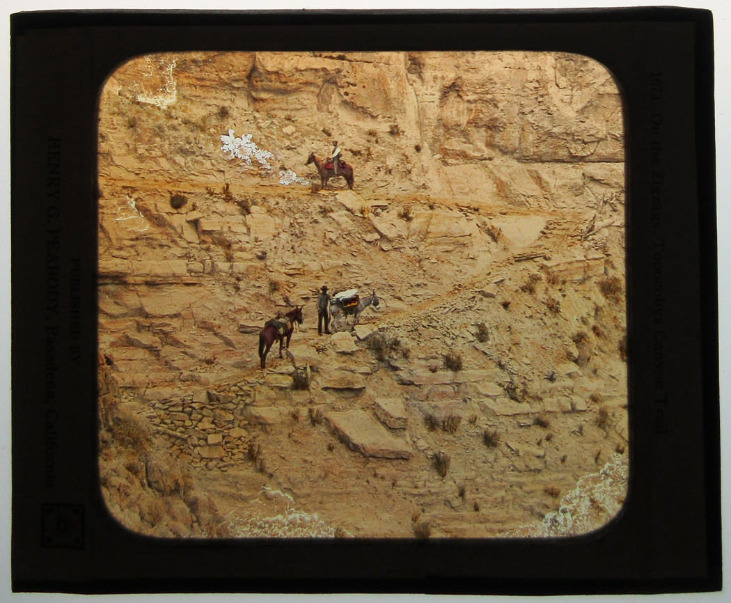 ant3002.jpg