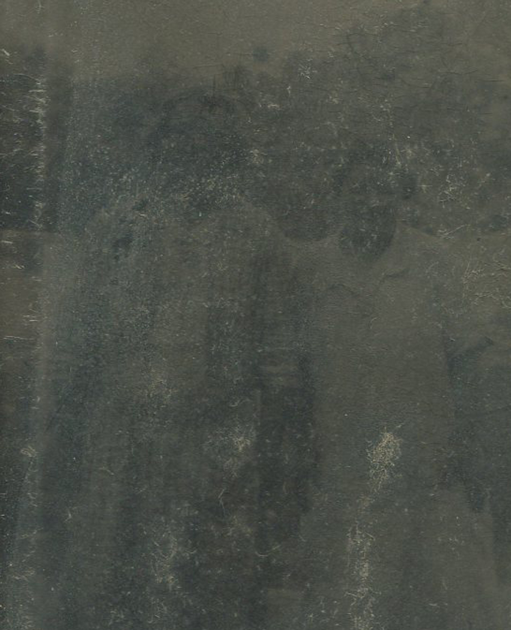 ant3043.jpg