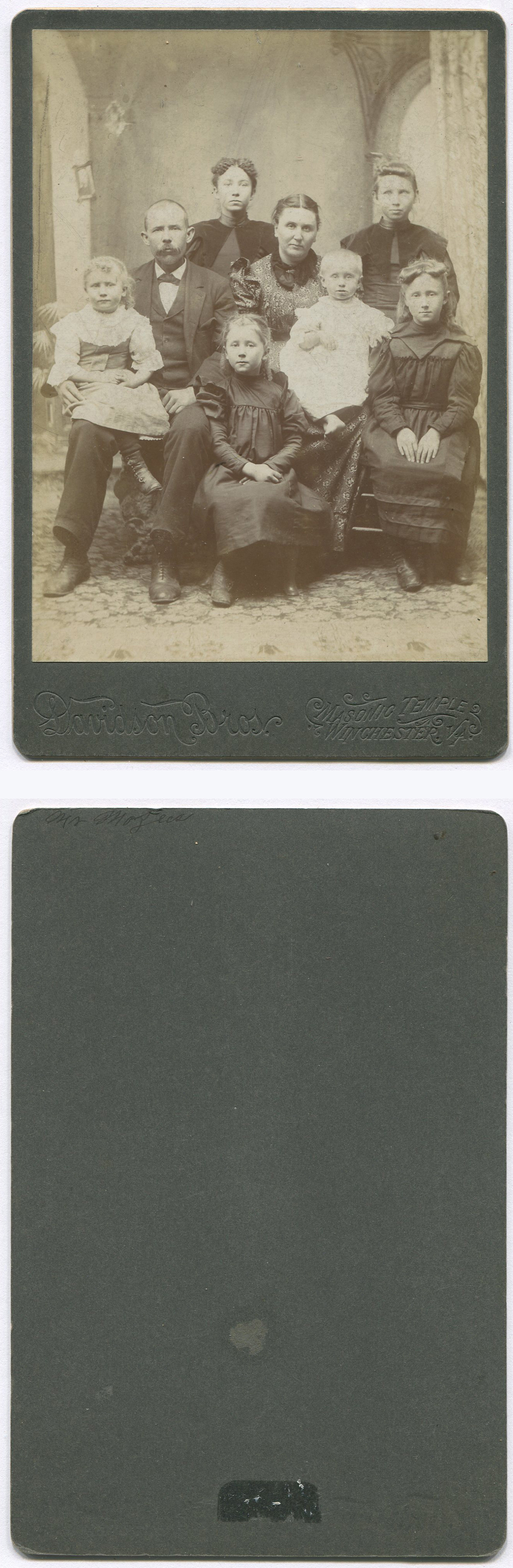ant3179a.jpg