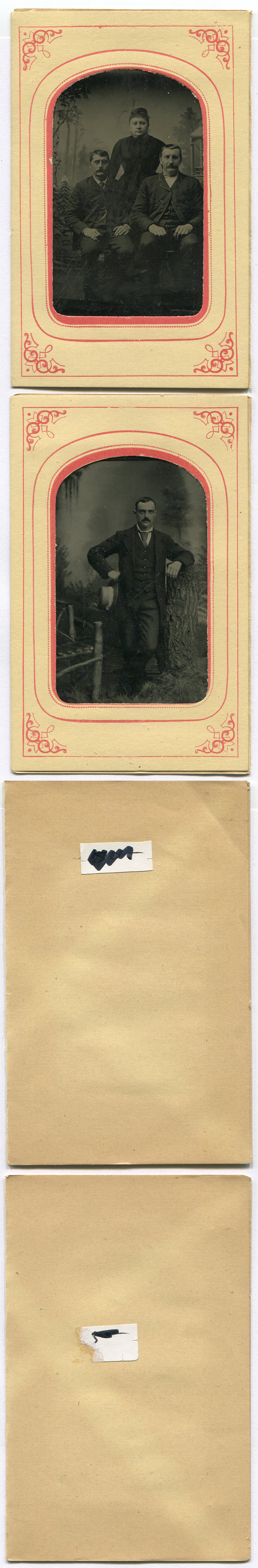 ant3264a.jpg