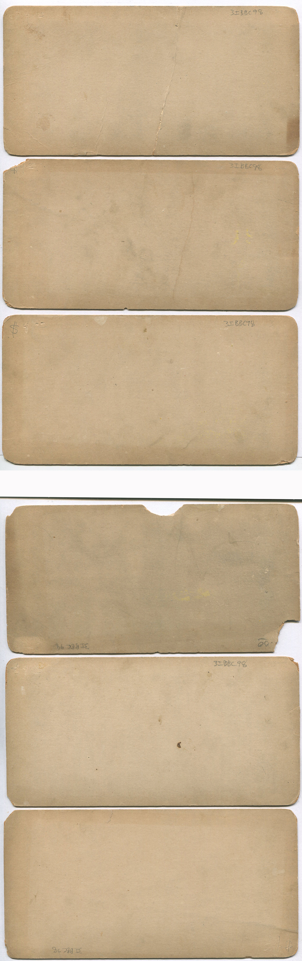 ant3302a.jpg