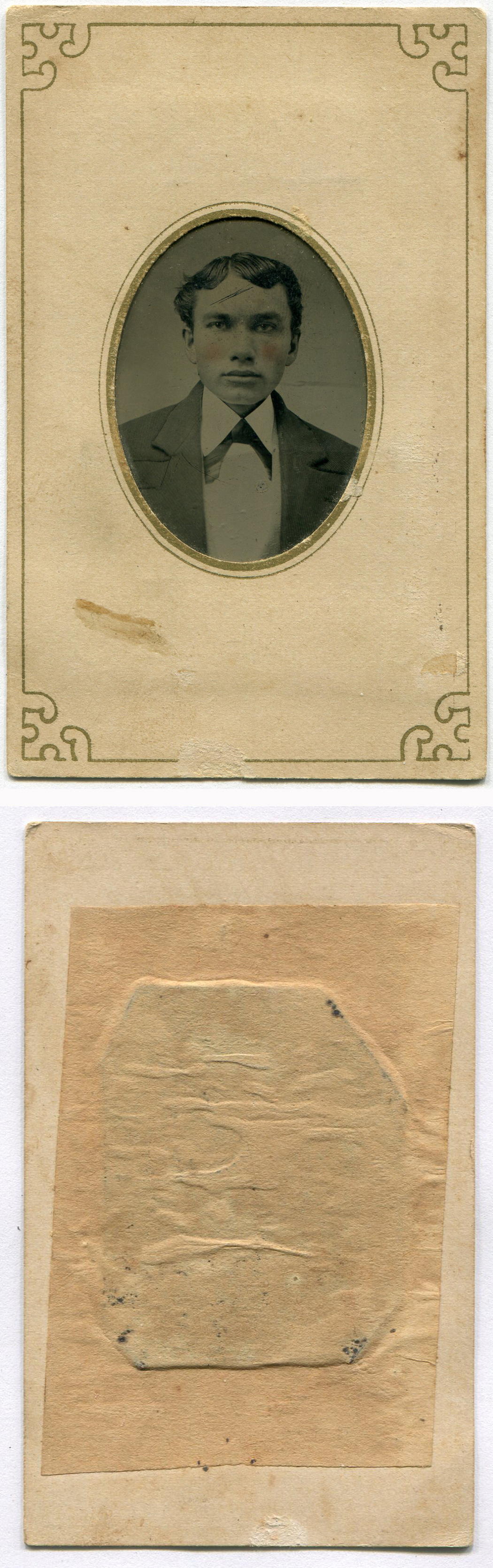 ant3366a.jpg