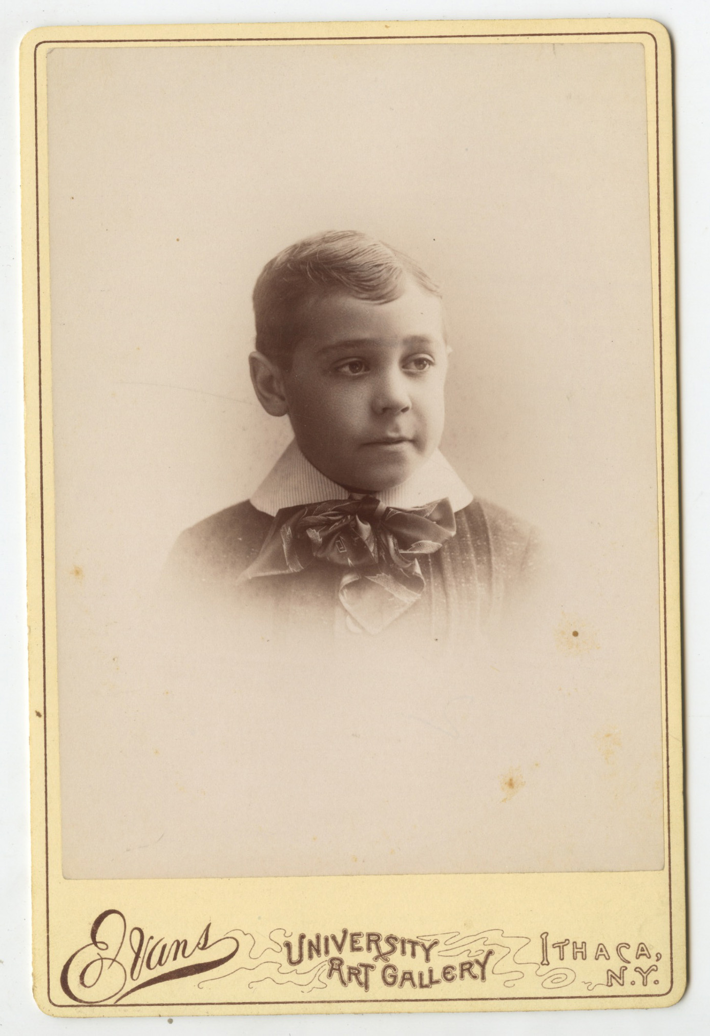 bji26464a.jpg