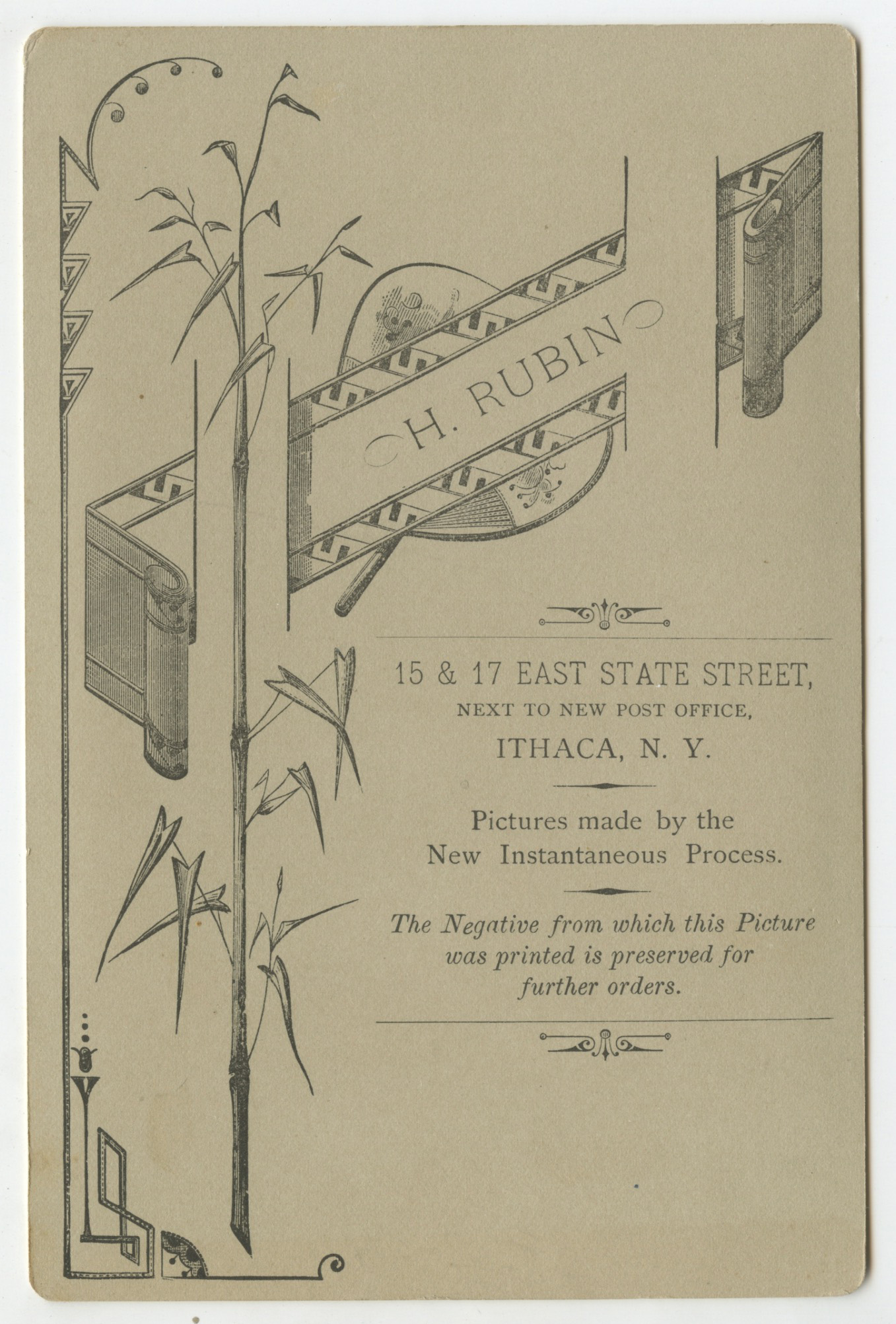 bji26466b.jpg