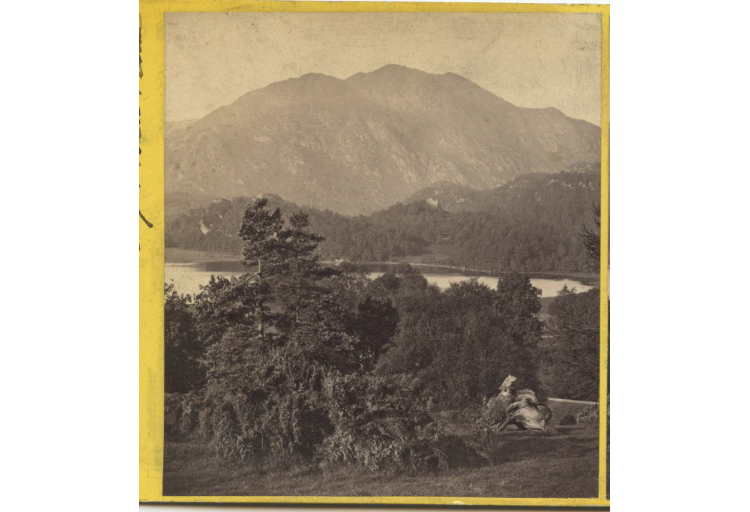 bji23924.jpg
