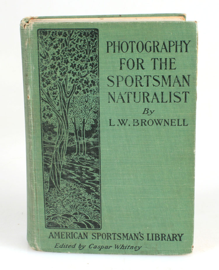 bpc973841.jpg