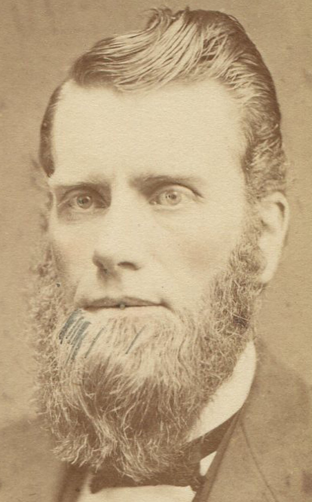Good Looking Man With Styled Hair And Long Beard Cdv Manchester