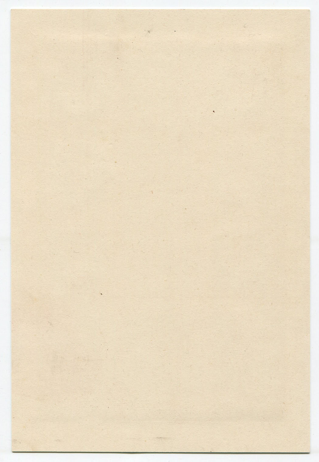 bpc981904a.jpg
